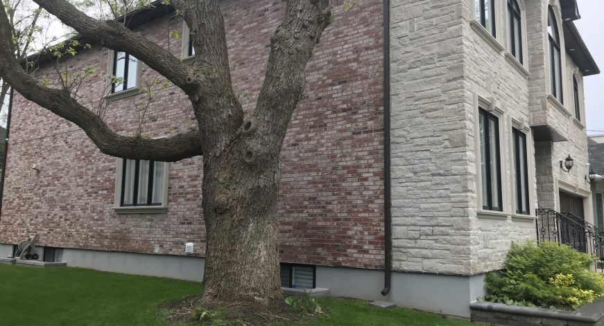Forest Hill. Ontario exterior wall project